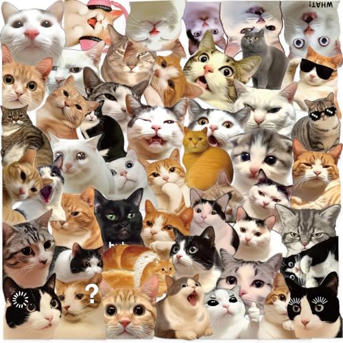 50PCS Vintage Cat Transparent Stickers - style: Cat Stickers