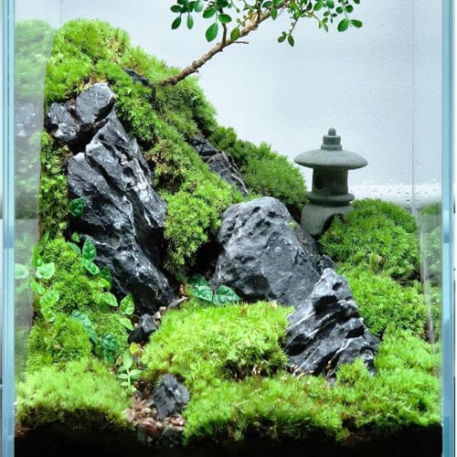Natural Rocks Seiryu Stone 1-2.5 Inches Decorative Rocks for Fairy Gardens,Miniature Landscaping,Bonsai,DIY Crafts, Aquariums & Reptile Terrariums-2lb - size: 2lb(1-2.5Inch)