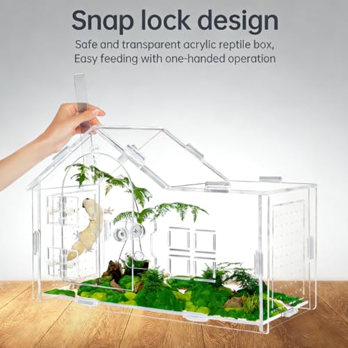 Jumping Spider Enclosure, Acrylic Habitat, 1 Pack