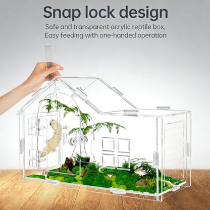 Jumping Spider Enclosure, Acrylic Habitat, 1 Pack