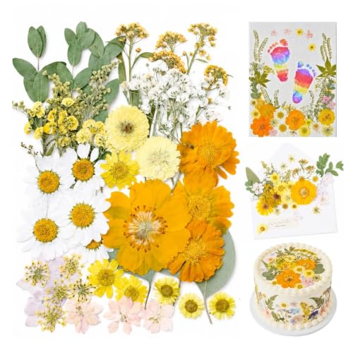 Dried Pressed Flowers for Resin, 50 Pcs Real Dried Flowers for Crafts - color: Sunshine