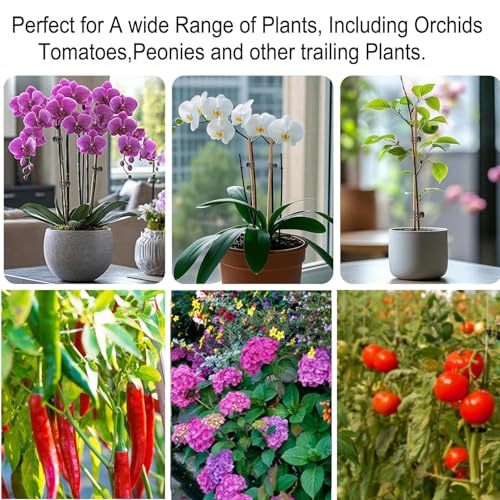 Plant Clips Orchid Clips Plants Orchid Support Clips 30Pcs Flower Vine Clips for Supporting Stems Vines Stalks Climbing Plant Grow Upright (Green, 0.6x0.86in)
