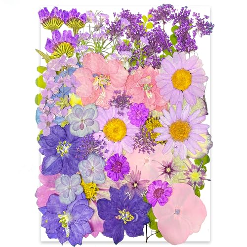 YouthBro 40pcs Purple Dried Pressed Flowers for Resin Molds,Real Natural Pressed Flowers for DIY Art Crafts,Candle Making, Nails Décor,Soap Making, Phone Case - color: Dk Purple01