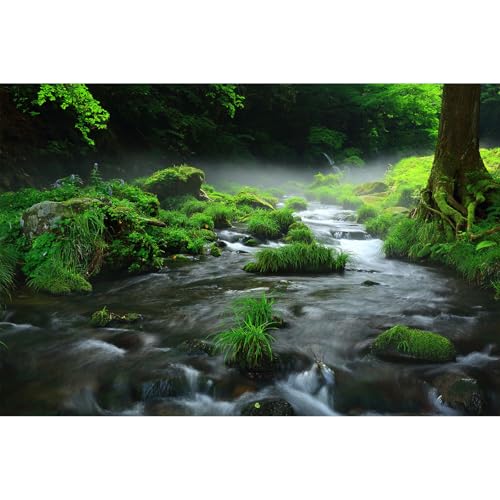 Stream Aquarium Background Aquatic Water Plants Rock Fish Tank Background Lush Green Forest Trees Terrarium Background Misty Foggy Stream Flowing Water Natural Landscape Aquarium Backdrops 24x16in - color: Foggy Green, size: 24(W)x16(H)in