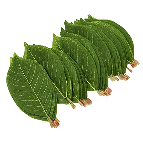 Healifty 50Pcs Fake Magnolia Leaves, Faux Plant Leaves for Crafts Decor - color: Green, size: 15.50X6.70X0.10CM