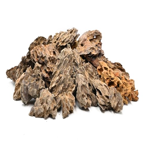 Natural Stone 10lb Fish Tank Rock for Aquarium Landscaping Models Fish Tank Decoration,Freshwater Planted Aquariums and Amphibian Enclosures-2-6 inches - size: 10LB(2-6 inches)