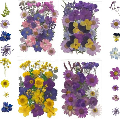 135 Pcs Dried Pressed Flowers for Crafts Resin Real Flat Natural Pressed Flowers with Tweezer for Scrapbooking Silicone Epoxy Resin Molds Crafts Candle Soap Making Nail Bookmark Jewelry DIY Art Supply - color: 135pcs Purple