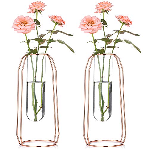 Vases Set of 2 Glass Vases with Metal Frame 23.5cm Height, Modern Rose Gold Frame Cylinder Clear Vase Planter Terrariums, Flower Holder Decorations for Wedding Living Room, Office, Party - color: Rose Gold, size: L+L