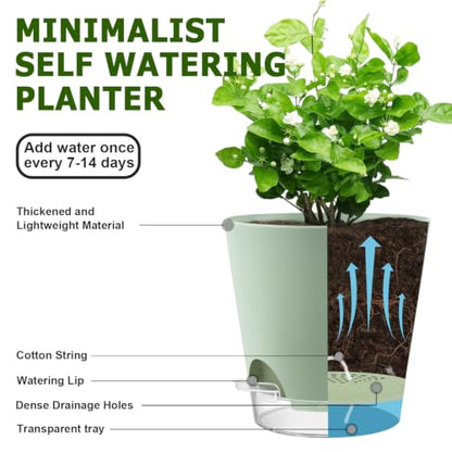 QRRICA 5/5.5/6/6.5/7/8 inch Self Watering Pot Set, Visible Water Level Planter with Transparent Reservoir & Drainage Holes, Plastic Flower Pots with Cotton Rope for Indoor/Outdoor Use (Green) - color: Green