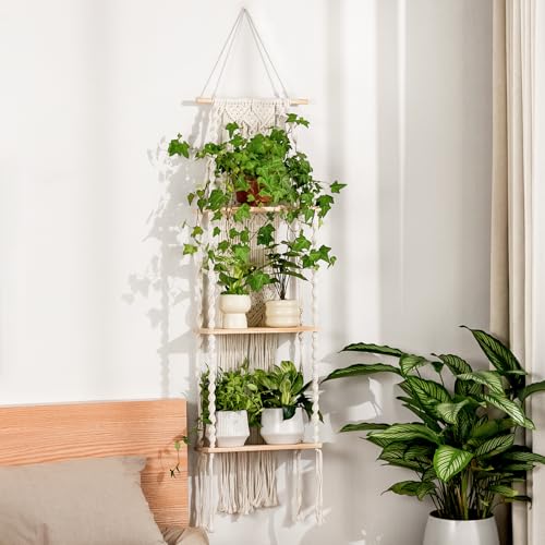 Bamworld Plant Wall Shelf Boho Plant Stand Window Plant Shelf - size: 3Tier