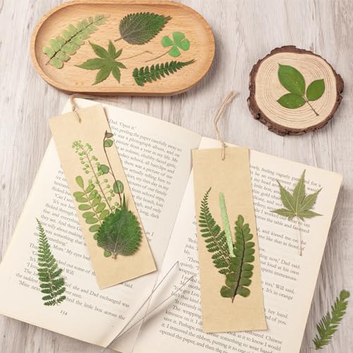 95Pcs Real Pressed Dried Leaves for Resin, 35 Styles Natural Dry Leaf for DIY Crafts, Green Dried Leaves for Epoxy Molds Jewelry, Candle, Bookmarks,Soap Making, Card Scrapbook - size: 95Pcs Dried Leaves