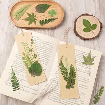 95Pcs Real Pressed Dried Leaves for Resin, 35 Styles Natural Dry Leaf for DIY Crafts, Green Dried Leaves for Epoxy Molds Jewelry, Candle, Bookmarks,Soap Making, Card Scrapbook - size: 95Pcs Dried Leaves