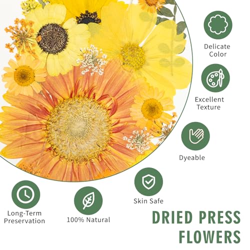 203 Pcs Dried Pressed Flowers for Resin Crafts, Real Natural Pressed Flowers and Leaves Kit Butterfly Stickers Vacuum Sealed Dry Flowers for DIY Epoxy Resin Jewelry Molds, Candle Soap Making, Nail Art - color: Sapphire 203pcs