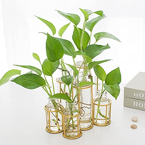 Flower Vases with 6 Bottle Crystal Clear Glass Flower Vase with Metal Stand Propagation Station Plant Display Holder Set for Home or Wedding Décor