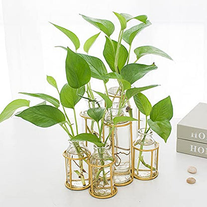 Flower Vases with 6 Bottle Crystal Clear Glass Flower Vase with Metal Stand Propagation Station Plant Display Holder Set for Home or Wedding Décor