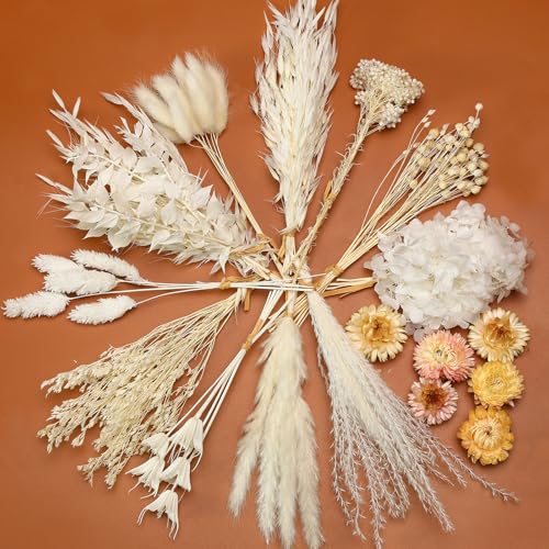13 Kinds Mini Dried Flower Bouquet, 5-8" Boho White for Crafts, Vase Filler - color: White