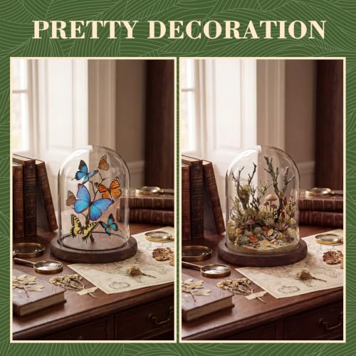 Suclain 4 Pcs Glass Display Dome Cloche Clear Dome Cloche with Wood Base Tabletop Jar Display Case for Home Office Wedding(Coffee Brown,4 x 5.5 Inch) - color: Coffee Brown, size: 4 x 5.5 Inch