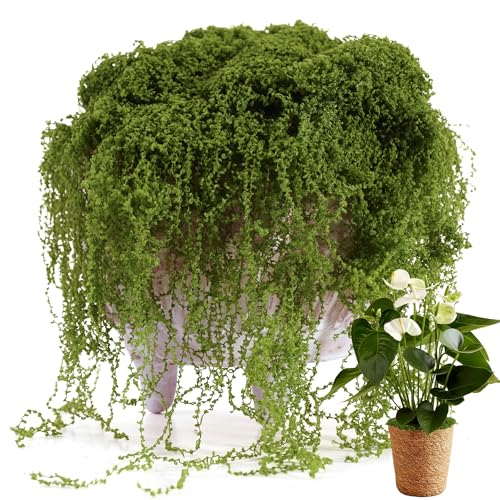 USMOLA Fake Moss for Potted Plants Indoor, 7OZ Green Moss for Crafts - Realistic Faux Moss Decor for DIY, Terrariums, Fairy Gardens & Table Centerpieces - Craft Moss for Home Decor (Natural Green) - color: Natural Green