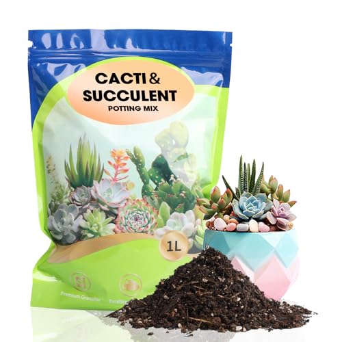 Succulent and Cactus Soil Potting Mix 1qt-Premium Breathable & Fast Draining for Healthy Plants - color: Succulent Soil, size: 1QT