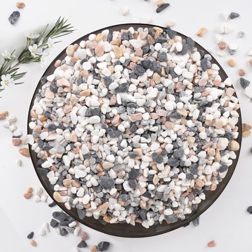 Pulovin 5 lbs Small Rocks for Plants, 1/5 Inch Pebbles for Indoor Plants, Natural Decorative Pea Gravel for Aquarium, Fish Tank, Terrarium, Succulents, Bamboo Plants, Vases, Cactus, Crafts - color: Mixed