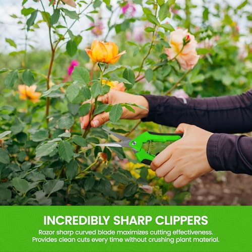 GARDEN GURU Razor Sharp Snip – Professional Garden Pruning Shears Trimmers – Super Sharp Micro-Tip Precision Stainless Steel Blades - Ergonomic Handles Easy on Arthritic Hands - 1 Case (100 Pcs) - size: 100 Pack, style: Snips
