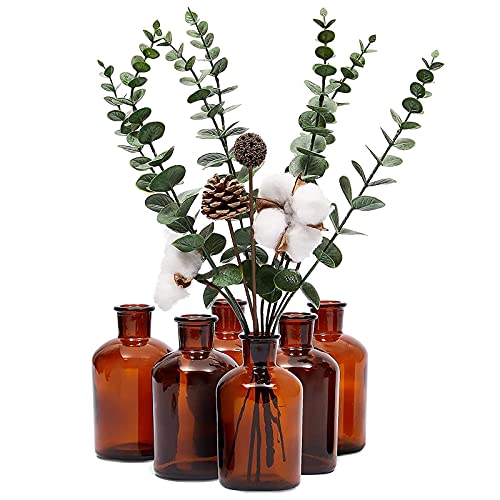 Farmlyn Creek 6 Pack Small Glass Vases for Centerpieces, Amber 7.5 oz Propagation Jars for Flowers, Table Centerpieces, Apothecary, Home Decor (2.8 x 5 in) - color: Amber