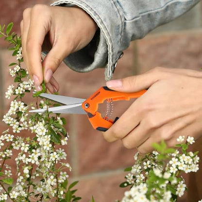 VIVOSUN 6.5 Inch Gardening Scissors Hand Pruner Pruning Shear with Straight Stainless Steel Blades Orange 1-Pack | Straight Precision Stainless Steel Blades, Comfort Ergonomic Grips, Ideal Snip for Deadheading, Trimming & Shaping Plants - style: Orange St