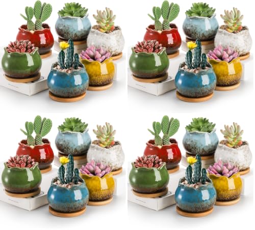 TOPZEA Set of 6 Succulent Plant Pots, 4 Inch Glazed Ceramic Pots with Drainage and Saucer, Mini Bonsai Planter Small Flower Pots for Indoor Outdoor Use (Pack of 4) - size: Overall:4"(Diameter)x 3"(H) (Pack of 4)
