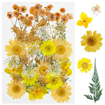 Cayway 33 PCS Dried Pressed Flowers for Resin, Real Pressed Flowers Dry Leaves Kit Natural Dried Pressed Leaves for Art Crafts Resin Scrapbook Supplies Soap Candle DIY, Yellow - color: Yellow-orange-33