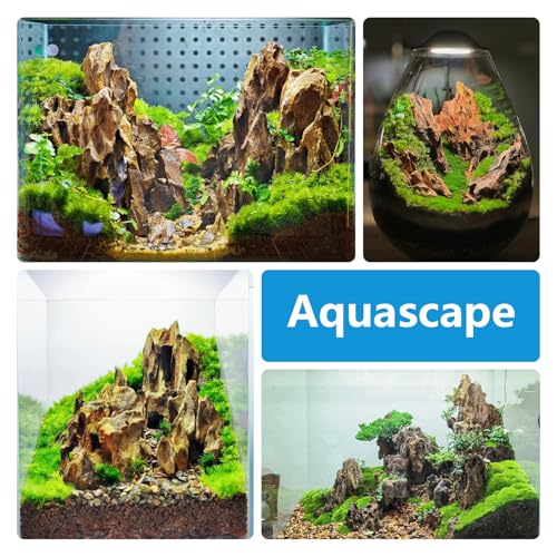 Natural Stone 10lb Fish Tank Rock for Aquarium Landscaping Models Fish Tank Decoration,Freshwater Planted Aquariums and Amphibian Enclosures-2-6 inches - size: 10LB(2-6 inches)
