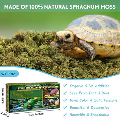 Riare 7 OZ Natural Sphagnum Moss for Reptiles, Terrarium Substrate Bedding | High Expansion, Moisture Retention, Helps Shedding, Long Fibered Dried Moss for Leopard Gecko, Snake, Frog, Turtle - color: 7 OZ