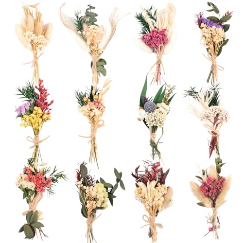 Fumwase 12Pcs Mini Dried Flower Bouquet Wildflowers | Natural Real Flowers, Small Boho Bulk, For Vase & Crafts, DIY Photo Props, Wedding Decor Gift