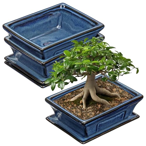 Villa Como Set of 2 Bonsai Pots with Drainage Tray, 6" Bonsai Planters | Blue Glazed Ceramic Bonsai Tree Pots, Shallow Rectangle Bonsai Pot for Indoor Outdoor Plants, Succulents, Cactus, Flowers - color: Blue, size: 6.2"x4.5"x1.9"