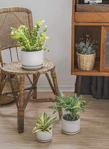 LE TAUCI Ceramic Pots for Plants, 4.3+5.3+6.8 Inch Plant Pots, Indoor Planters with Drainage Hole and Saucer for Succulents, Herbs and Flowers, Set of 3, Satin, White - color: White