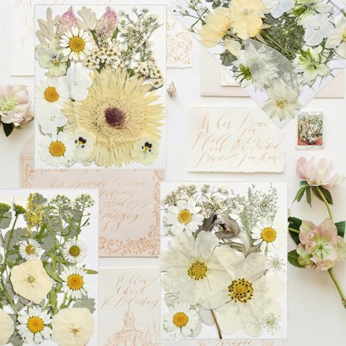 Dried Flowers for Resin - size: 80 pcs White Dried Flowers
