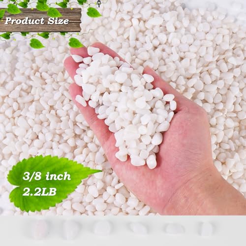 2.2 lbs Succulent Stones, 3/8 inch Tiny Pebbles of Rocks | Pebbles for Succulent Plants,Vases, Cactus Potted Plants, Fish Tanks - color: White, size: 3/8 Inch 2.2 LB