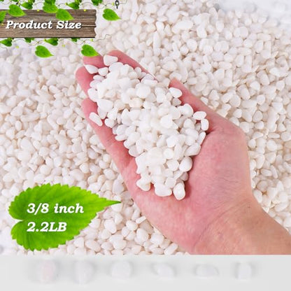 2.2 lbs Succulent Stones, 3/8 inch Tiny Pebbles of Rocks | Pebbles for Succulent Plants,Vases, Cactus Potted Plants, Fish Tanks - color: White, size: 3/8 Inch 2.2 LB