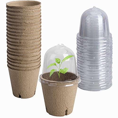 EBaokuup 20pcs Biodegradable Pots with Humidity Dome,3" Plant Nursery Pots with Humidity Dome,Seed Starter Pots Biodegradable Peat Pots for Seedlings,Vegetables - color: 3.1"