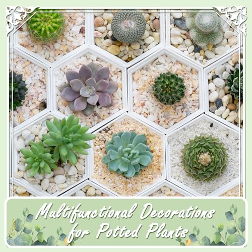20lbs Mix Natural River Rocks, High-Polished Pebbles for Plants Garden, 1-2 inch Decorative Mix Stones, Ideal for Fish Tank, Vases, Crafting, Home Decor and Garden Landscaping Rocks,Mix - size: 20 Pounds, style: Mixed