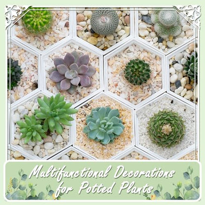 11lbs Mix Natural River Rocks, High-Polished Pebbles for Plants Garden, 1-2 inch Decorative Mix Stones, Ideal for Fish Tank, Vases, Crafting, Home Decor and Garden Landscaping Rocks,Mix - size: 11 Pounds, style: Mixed