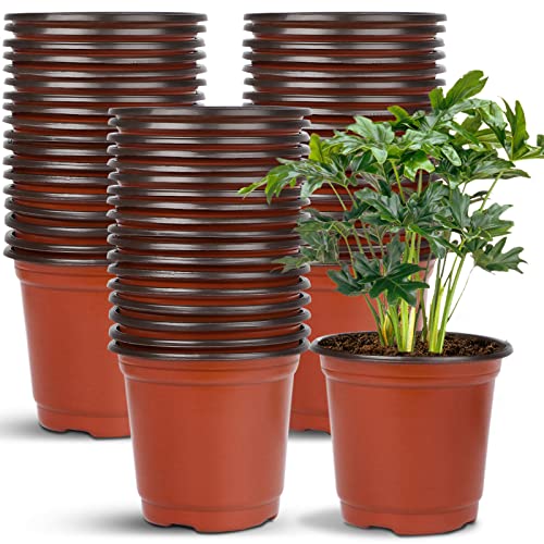 40 Pcs 6 Inches Plastic Plant Nursery Seed Starting Pot for Outdoor | Seeding Starter,Plastic,Drainage Holes,for Garden Flower Planters Plants,for Succulent Seedling Cutting Transplanting - size: 6 Inch
