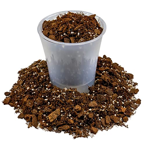 Premium Gardenera House Plant Potting Mix | Fern + New Zealand Bark + Perlite | Great for Pothos, Spider Plants, Montsera, Philodendron, English Ivy - 1 Quart Bag - color: HOUSE PLANT POTTING MIX, size: 1 Quart