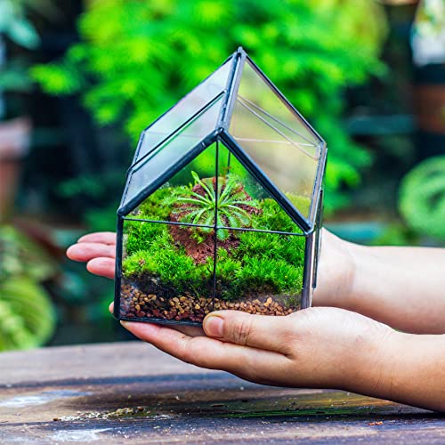 NCYP Glass Terrarium - Mini House Shape Terrarium with Lid, and House Shape Terrarium with Acrylic Lid, for Small Succulent Cacti, Ferns, Home Garden Decor