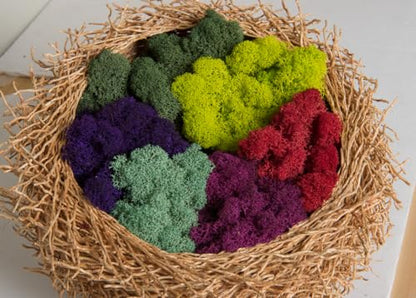 SuperMoss (25158) Reindeer Moss Preserved, Lavender, 8oz Bag