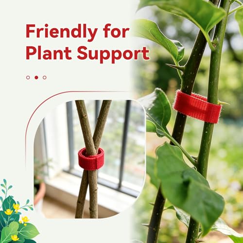 50FT Nylon Garden Tie Plant Tape Supports for Climbing Plants Red | Cut Design, Reusable Sturdy Adjustable Garden Tape for Plants, Flowers, Vines and Tree Holiday - color: Red