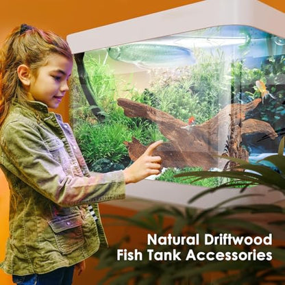 Jorewood Natural Small Aquarium Driftwood for Fish Tanks & Reptile Terrariums – 100% Safe Fish Tank Decorations, Unique Twisted Branches 5-Piece 4-8 Inch Low Tannin, Easy to Sink - size: Mopani Driftwood 4 to 8 Inch (Pack of 5)