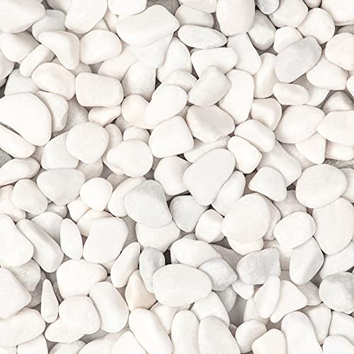 11lbs White Natural River Rocks, Polished Pebbles for Plants Garden, 0.3-0.8 inch Decorative White Stones, Ideal for Fish Tank, Vases, Crafting, Home Decor and Garden Landscaping Rocks,White - size: 11 Pounds, style: Snow White