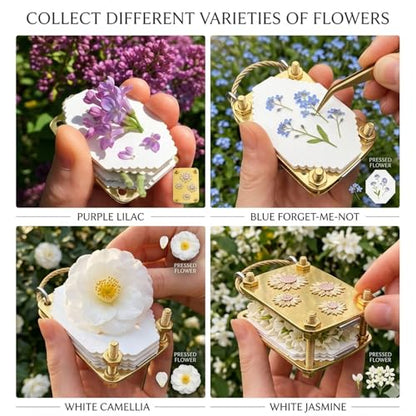 SMORBRID Micro Flower Press Plants Art & Crafts Metal Flowers Pressing, Microwave Flower Press, DIY Pressed Plant Preservation Kit Art for Arts and Crafts Lovers Gifts (Leaf) - color: Leaf