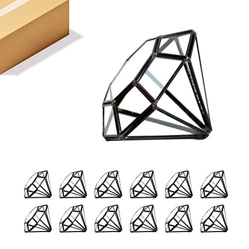 WGV Geometric Planter Terrarium Bulk, Width 5.3" Height 6" Clear Glass Black Frame DIY Succulent air Plant Miniature Fairy Garden Windowsill Tabletop Decor, Diamond 12 Pieces - color: Black (1 Case), size: Diamond 6"