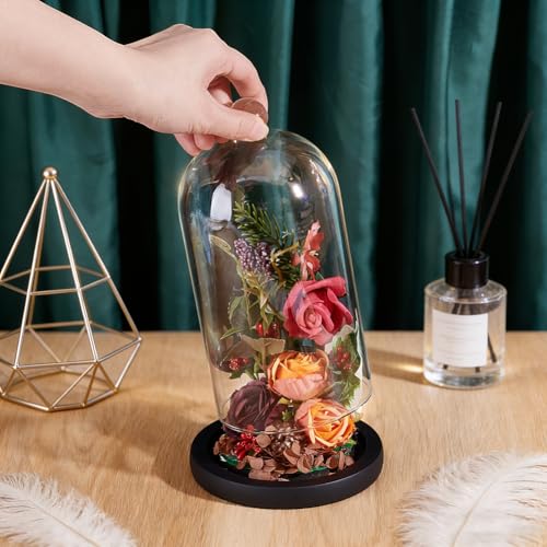 PH PandaHall Cloche Glass Dome Black Wooden Base Bell Jar Cloche Bottles Display Case Clear Glass Display Dome with Top Handle for Plants Flower Clay Succulents Antique Collectibles, 4.92x8.46inch - size: 4.92x8.46inch